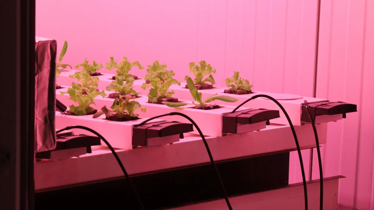 Ali lahko navpične luči za gojenje res pomagajo vašim rastlinam pri boljši rasti